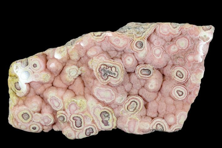 Botryoidal Rhodochrosite Formation - Argentina #113403